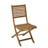 Chaise De Jardin En Bois Pliante ALIZE Saturne 2 Chaise De Jardin En Bois Pliante ALIZE Saturne -Tabouret Shop chaise jardin pliante alize saturne